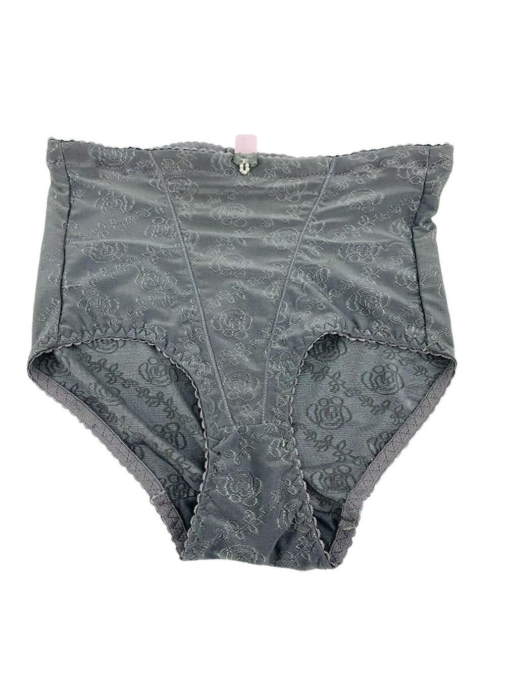 Heavenly Shapewear Control Brief Panty Grey Size 1X